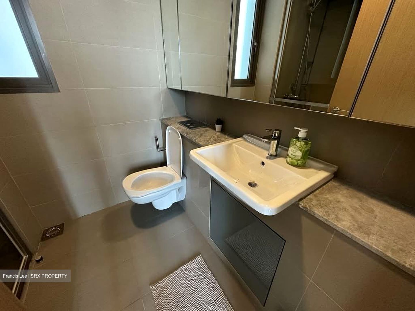 Skyline Residences (D4), Condominium #602967051